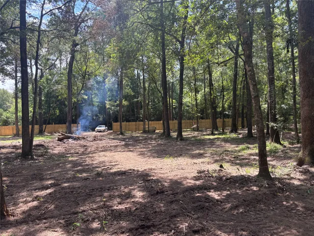 a view of a forest filled with trees