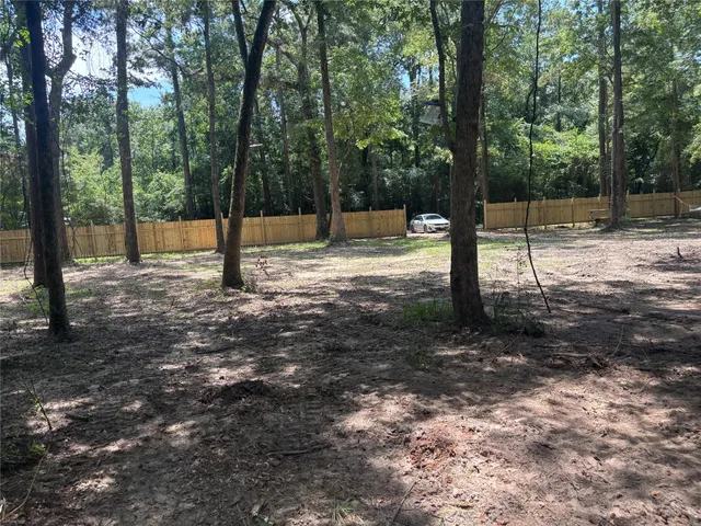 a view of a tree in a yard