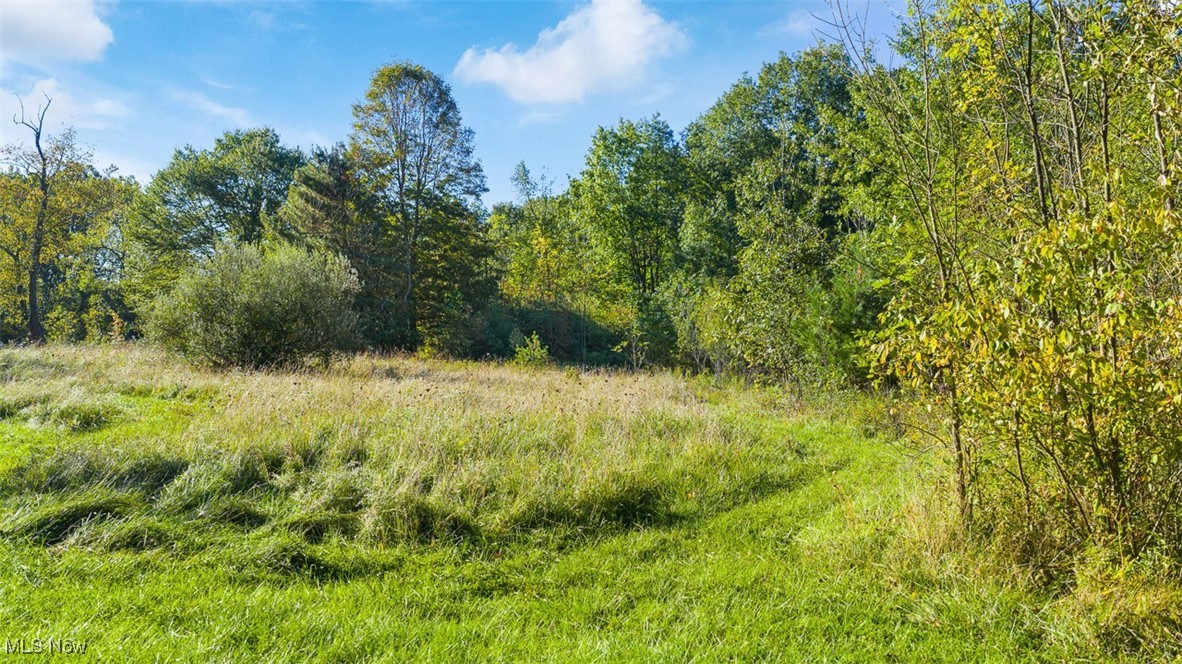 19345 Ridge Road North Royalton, OH 44133 - Photo 6 of 47 View of woods