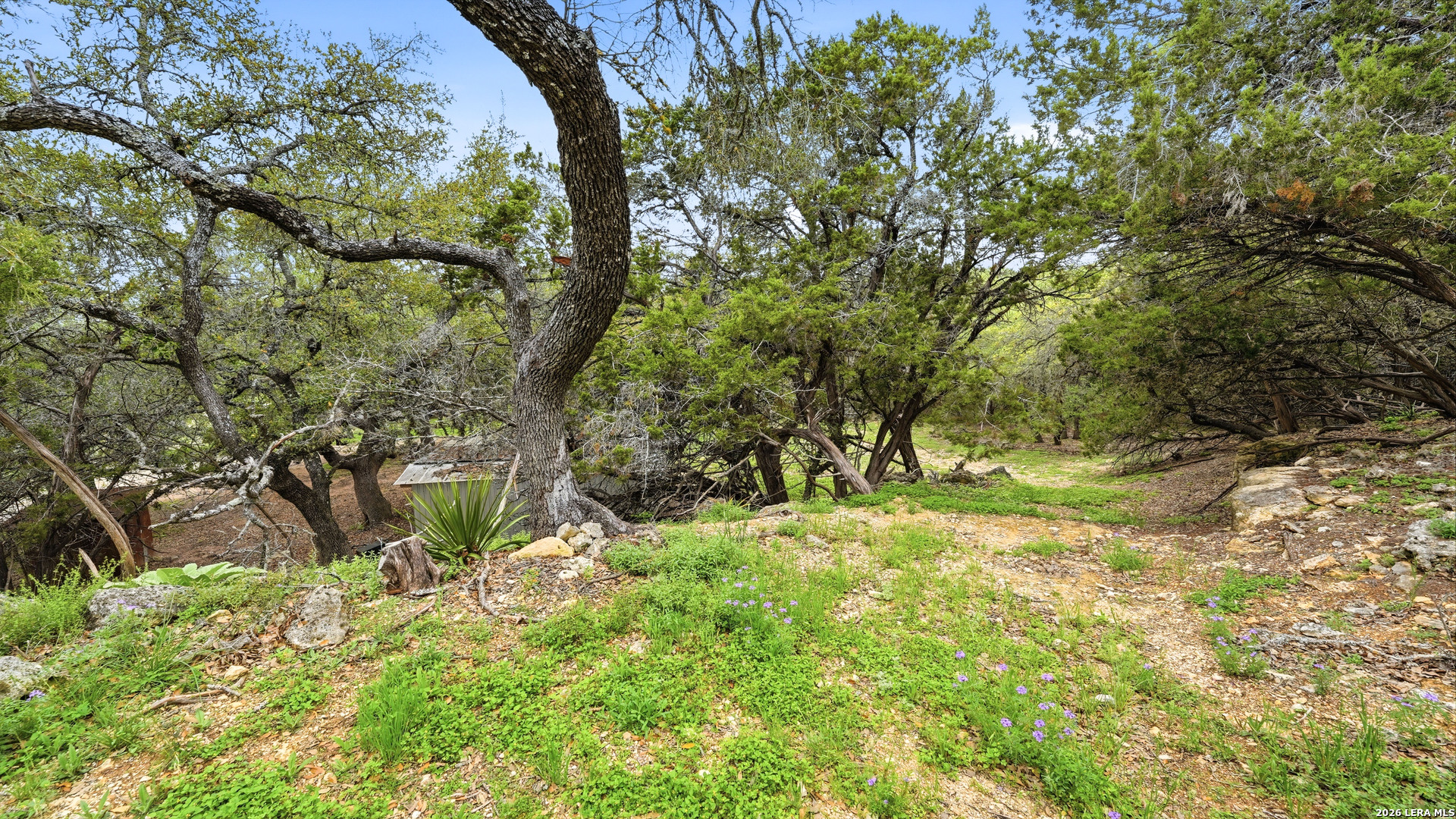 12521 Rebecca Creek Road Spring Branch, TX 78070 - Photo 7 of 43