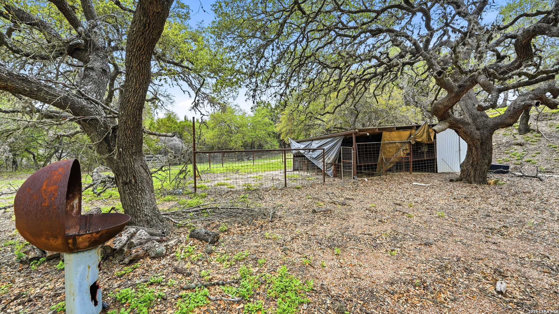 12521 Rebecca Creek Road Spring Branch, TX 78070 - Photo 10 of 43