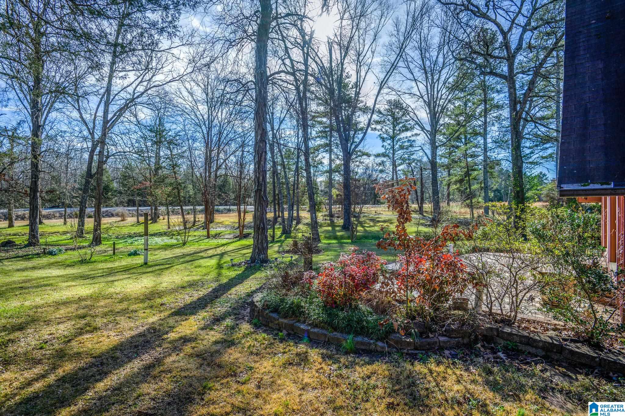 8969 County Road 434 Trinity, AL 35673 - Photo 4 of 34