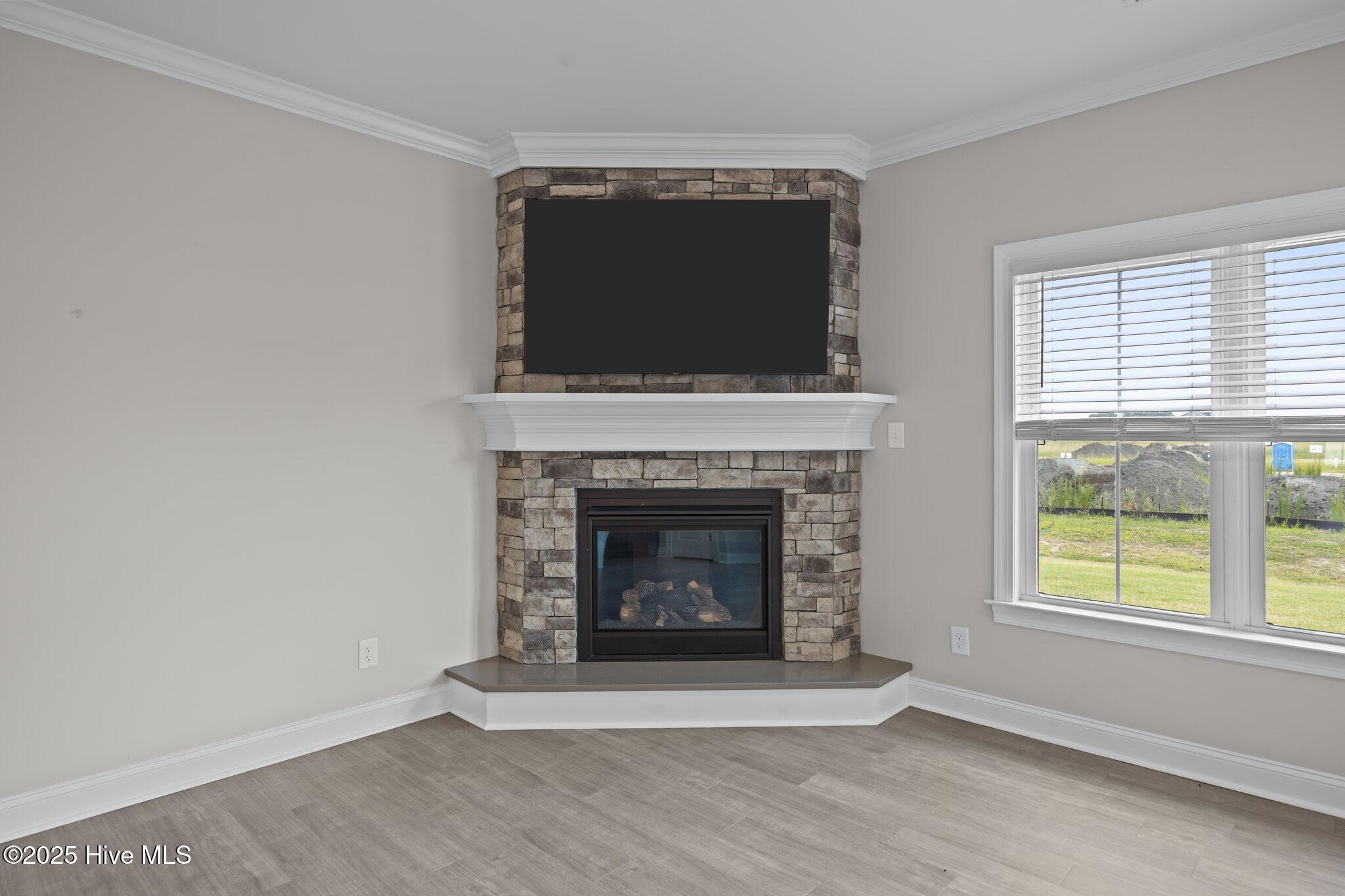 1057 Montevallo Lane Ayden, NC 28513 - Photo 12 of 41 1057 Montevallo - Fireplace