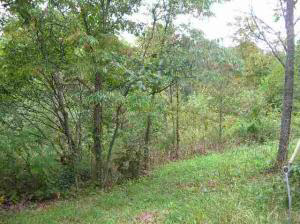 97 Washboard Springville, IN 47421 - Photo 1 of 1