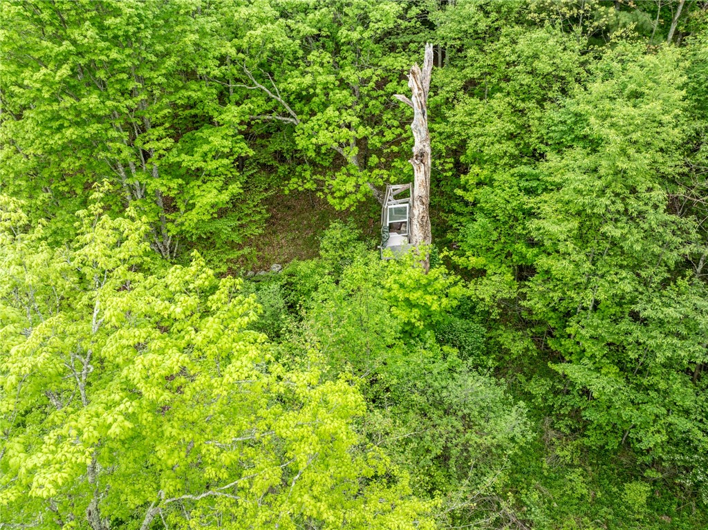 471 Frank Slawson Road Oneonta, NY 13820 - Photo 13 of 22