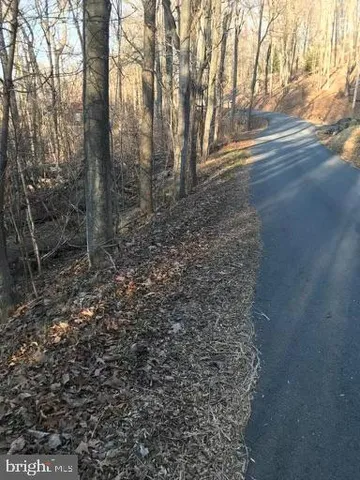 a view of a yard with trees in the background