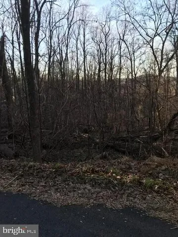 a view of backyard with green space