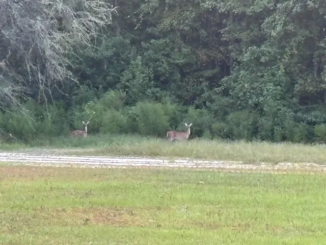 $565,000 | 151 Wabash Lane, Ruffin, SC 29475