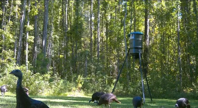 $565,000 | 151 Wabash Lane, Ruffin, SC 29475