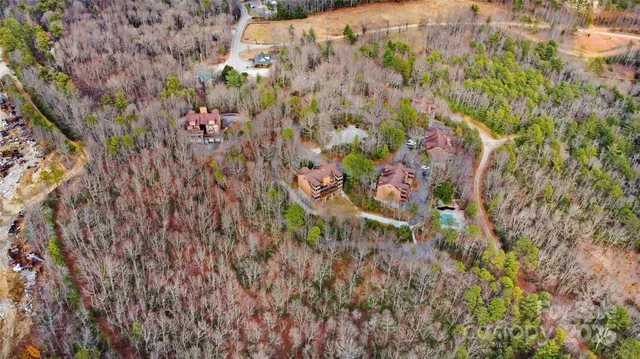 a picture of flowers