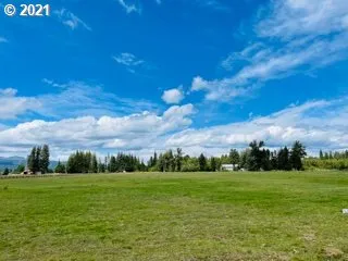 a view of a green field