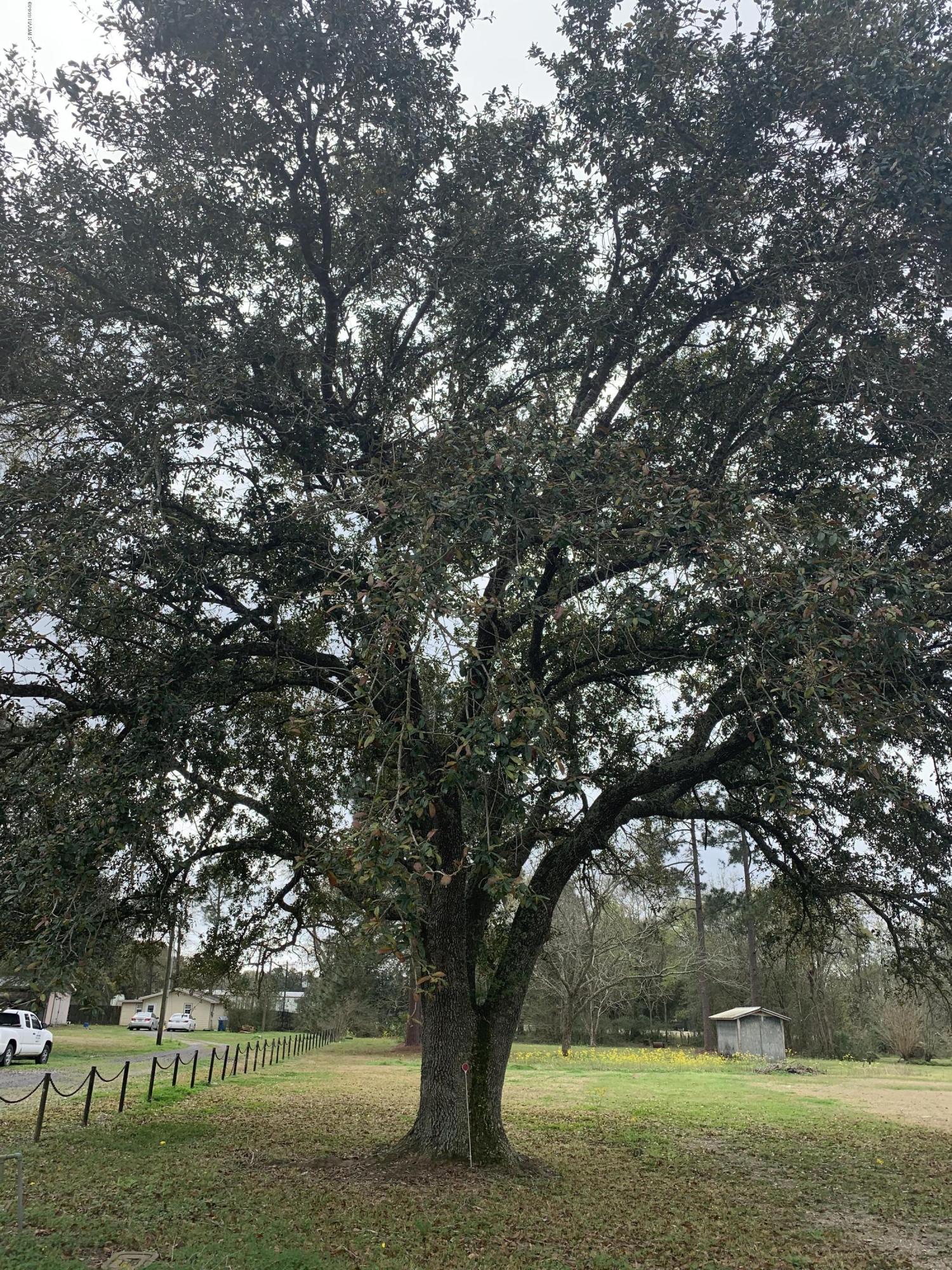 224 Lovely Road Duson, LA 70529 - Photo 1 of 4 IMG_0013