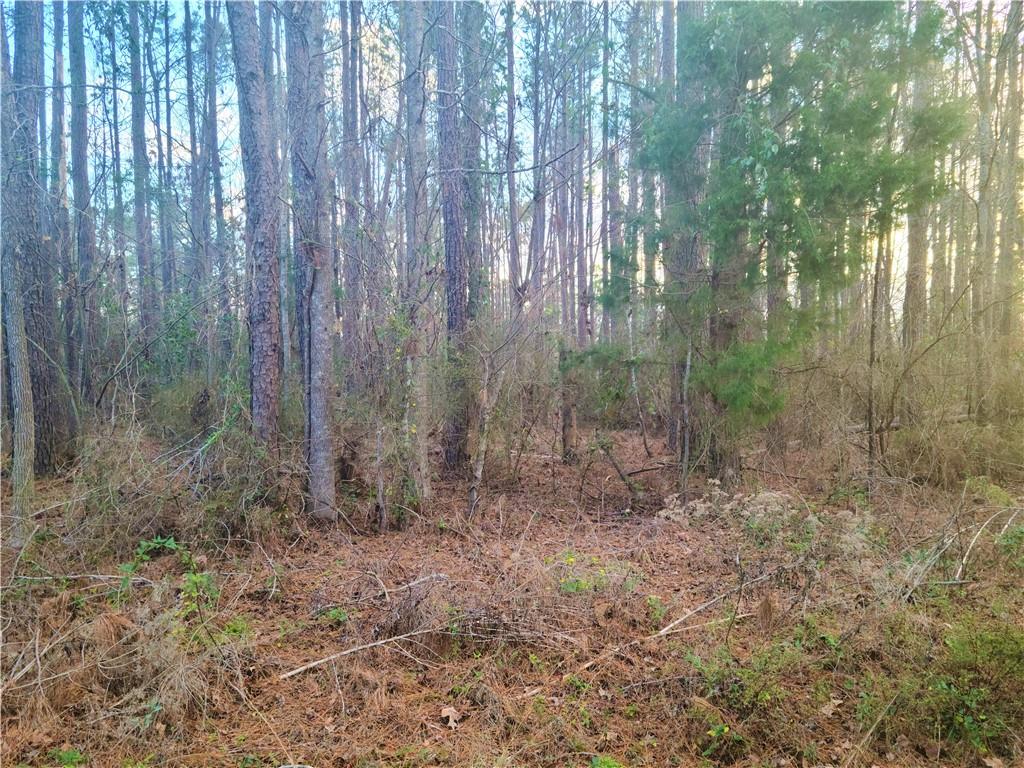 0 Hickory Hill Road Boyce, LA 71409 - Photo 1 of 3 Gallery Image 1