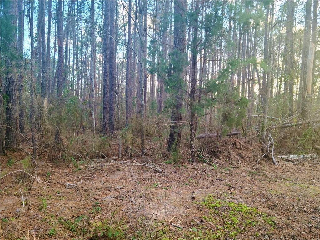 0 Hickory Hill Road Boyce, LA 71409 - Photo 2 of 3 Gallery Image 2