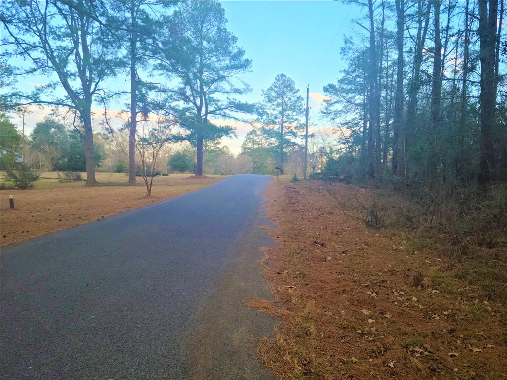 0 Hickory Hill Road Boyce, LA 71409 - Photo 3 of 3 Gallery Image 3