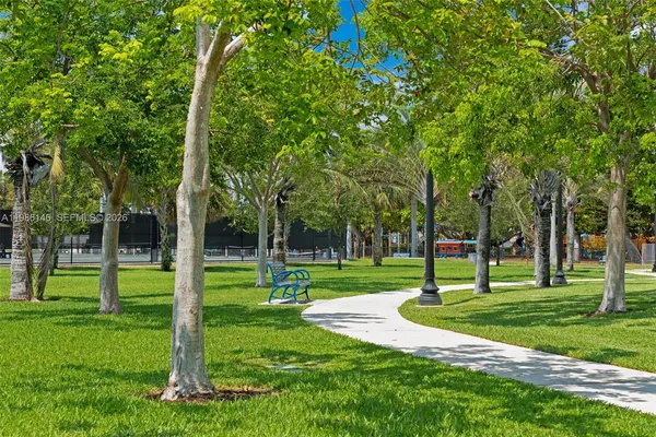 a view of a park with palm trees