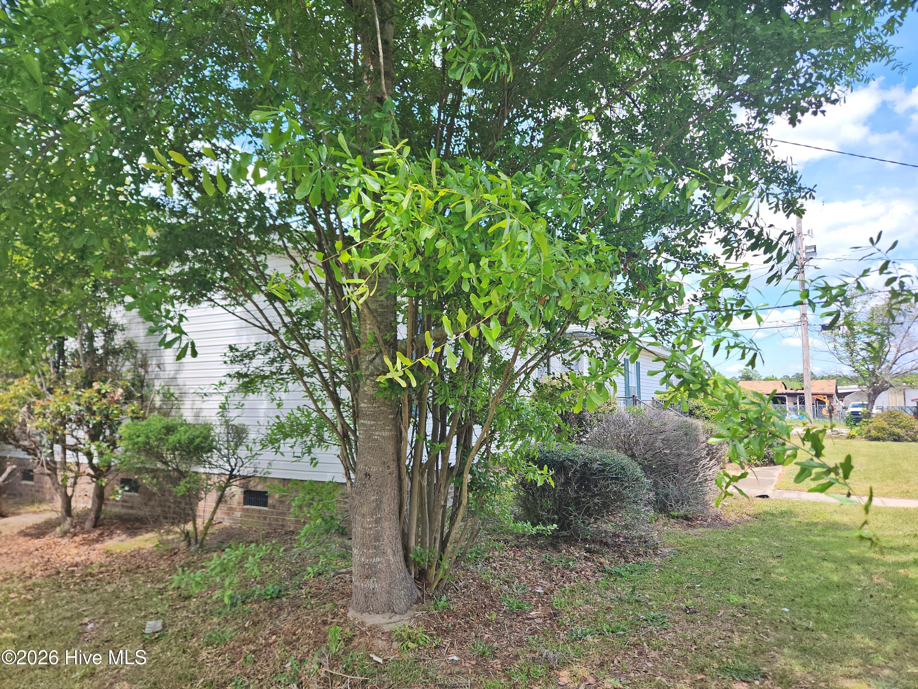 608 Old Whiteville Road Lumberton, NC 28358 - Photo 30 of 34 left side a