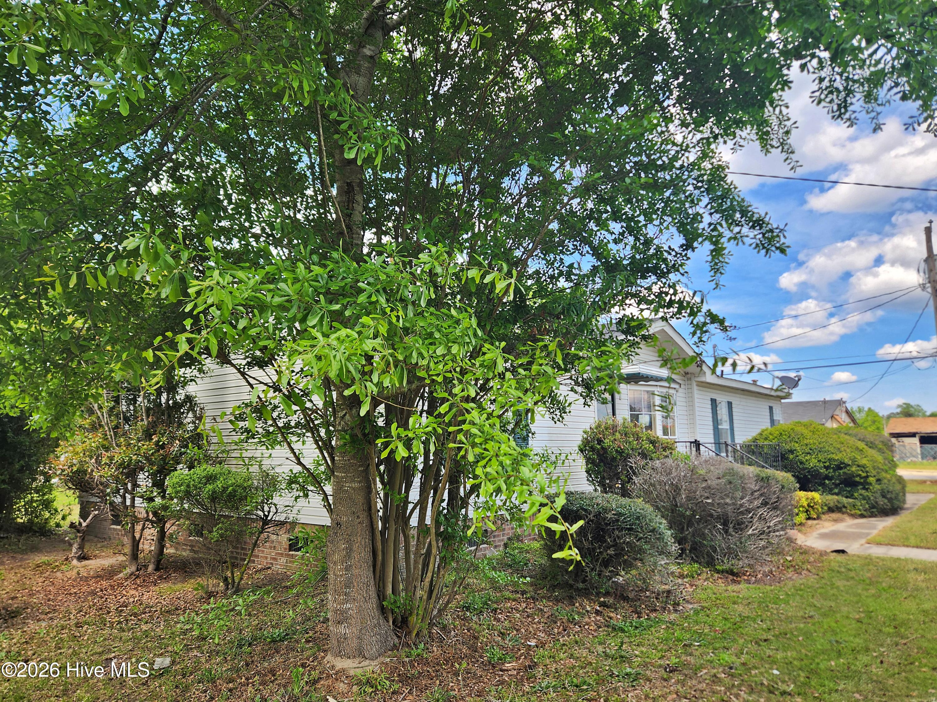 608 Old Whiteville Road Lumberton, NC 28358 - Photo 31 of 34 left side b