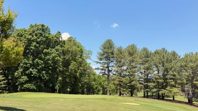 0 Country Club Road Troutville, VA 24175 - Photo 16 of 18 a view of a yard and basketball court