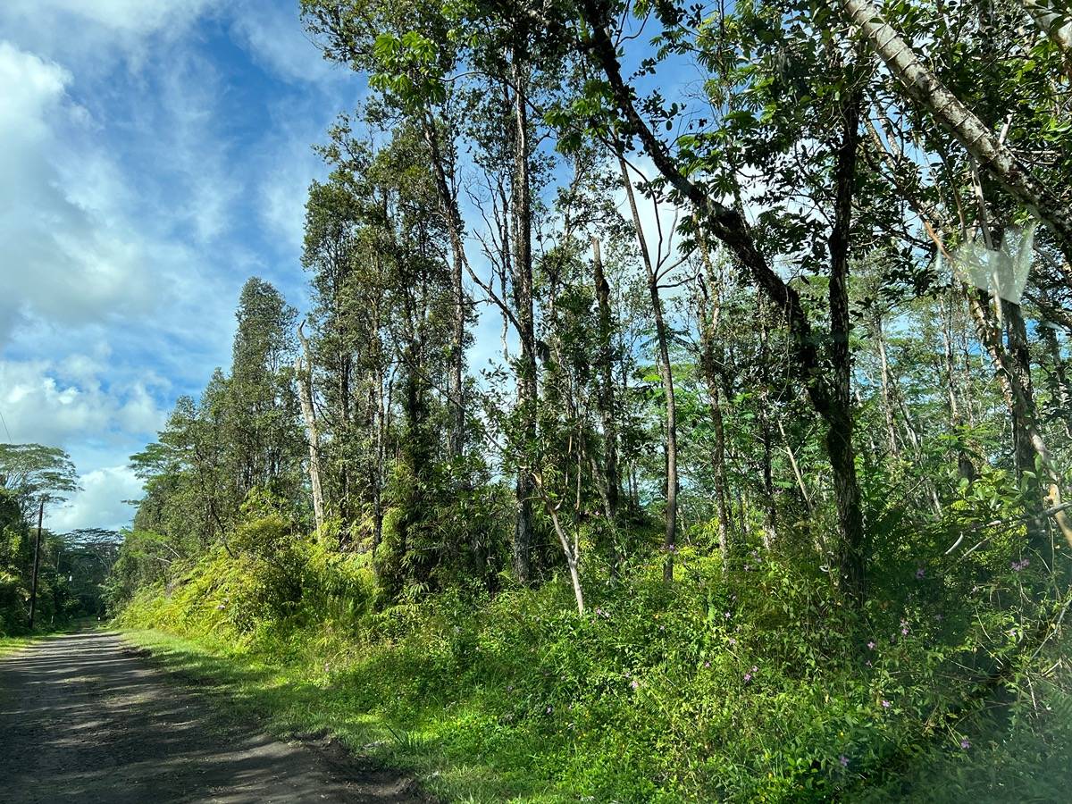 280 Ginger Road Pahoa, HI 96778 - Photo 1 of 1 Gallery Image 1