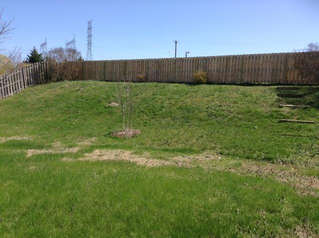 7308 Middlebrook Circle Nashville, TN 37221 - Photo 19 of 20 a view of a back yard