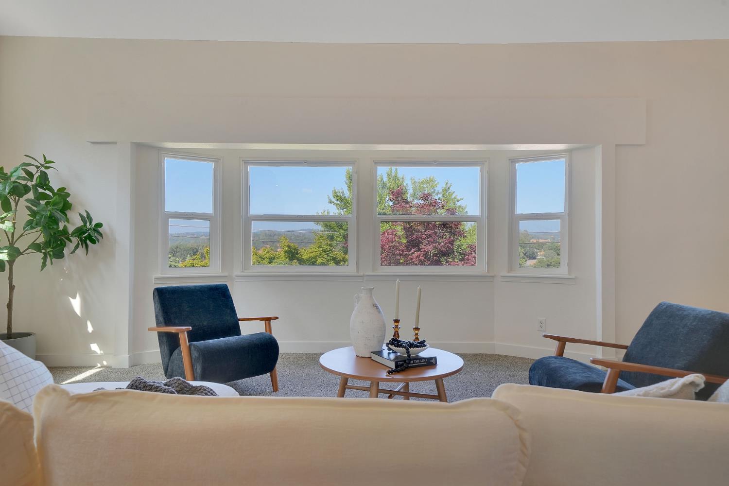 513 Perry Street Jackson, CA 95642 - Photo 23 of 56 a living room with furniture and a potted plant