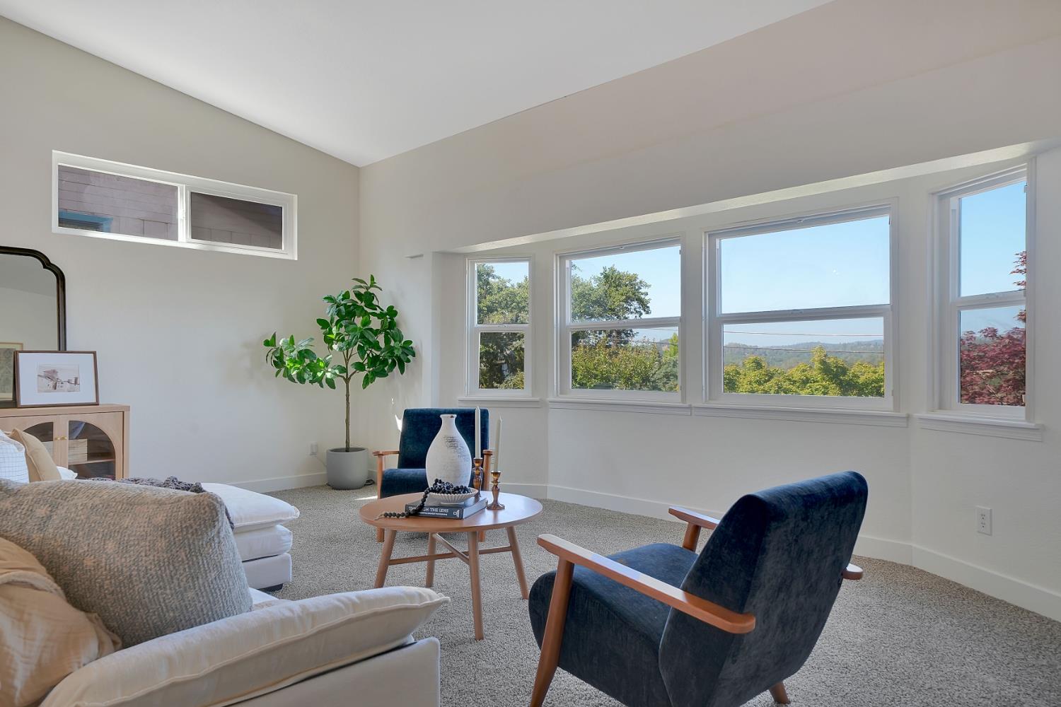513 Perry Street Jackson, CA 95642 - Photo 26 of 56 a living room with furniture plant and a window
