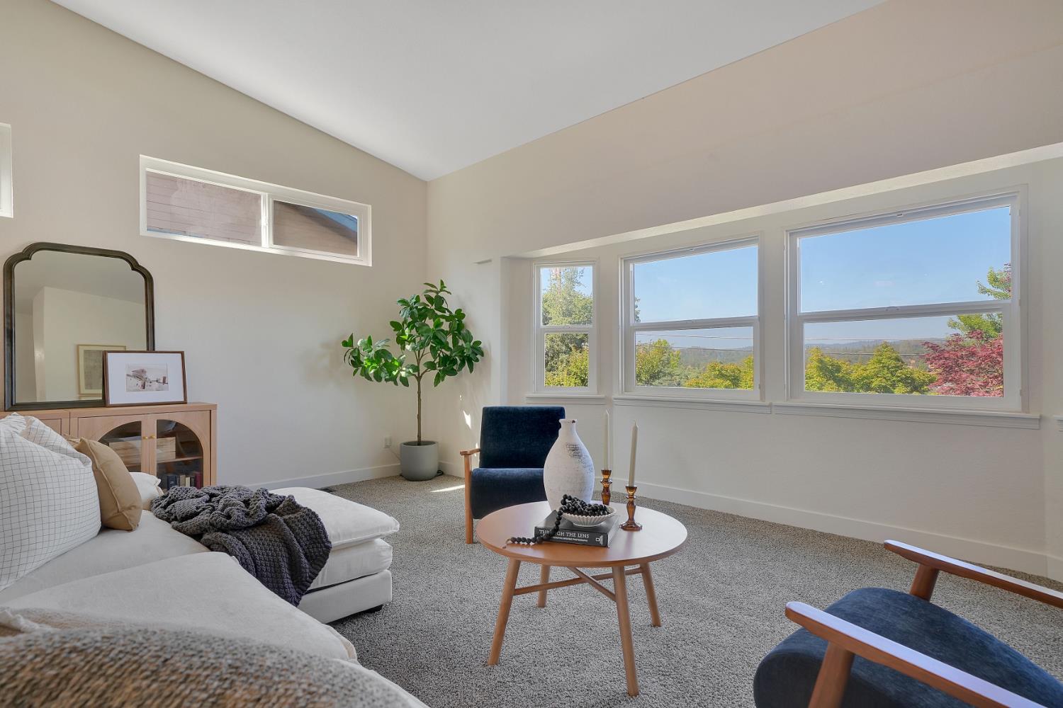 513 Perry Street Jackson, CA 95642 - Photo 27 of 56 a living room with furniture and window