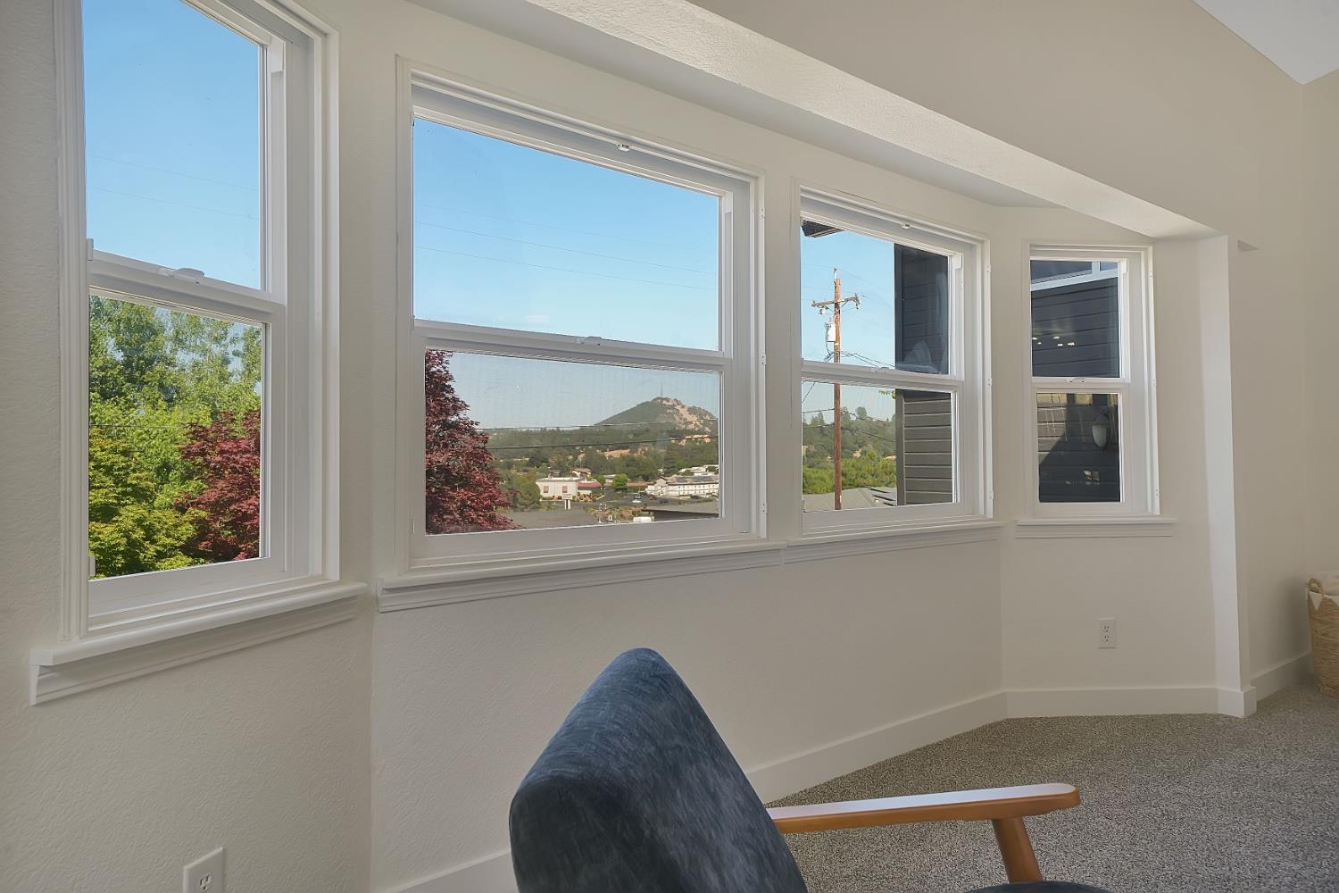 513 Perry Street Jackson, CA 95642 - Photo 29 of 56 a view of a window in a room
