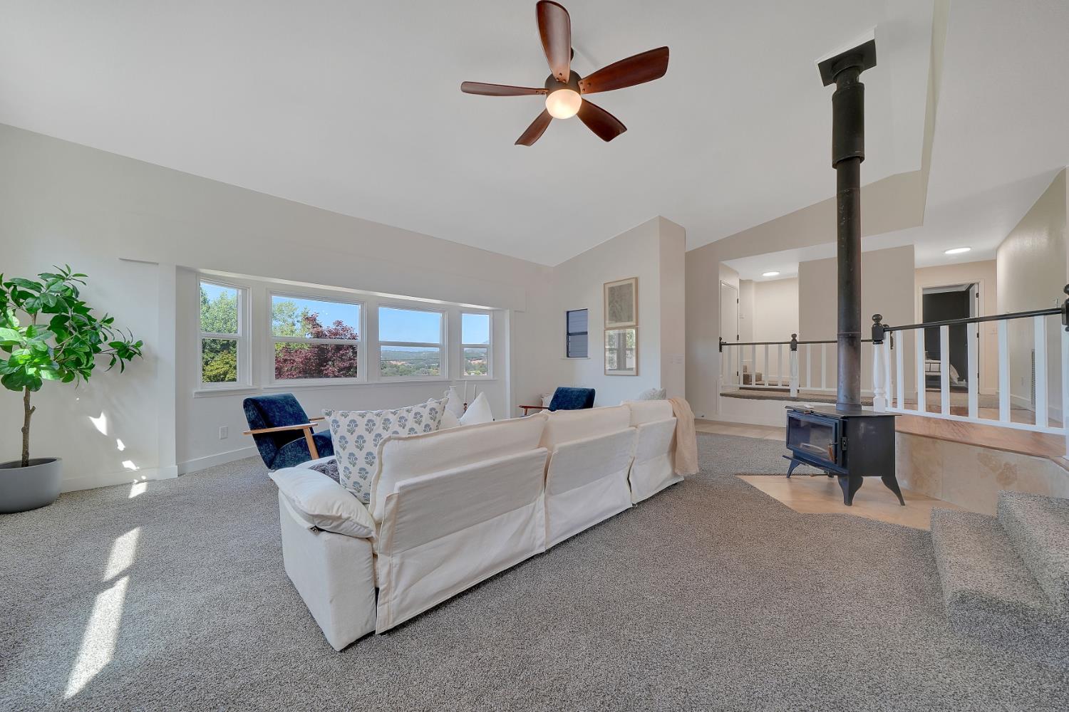 513 Perry Street Jackson, CA 95642 - Photo 31 of 56 a living room with furniture and a potted plant