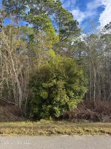 $7,500 | Lot 2224 Peach Street, Ocean Springs, MS 39564