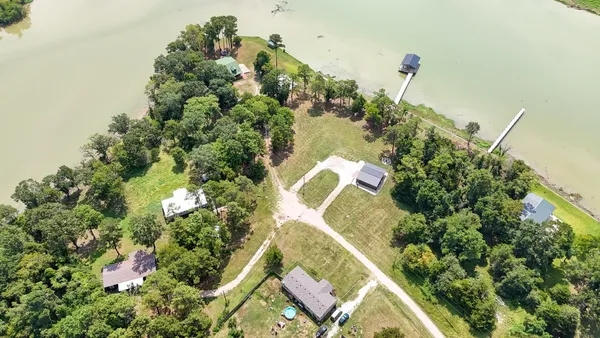 a view of a plant in a garden