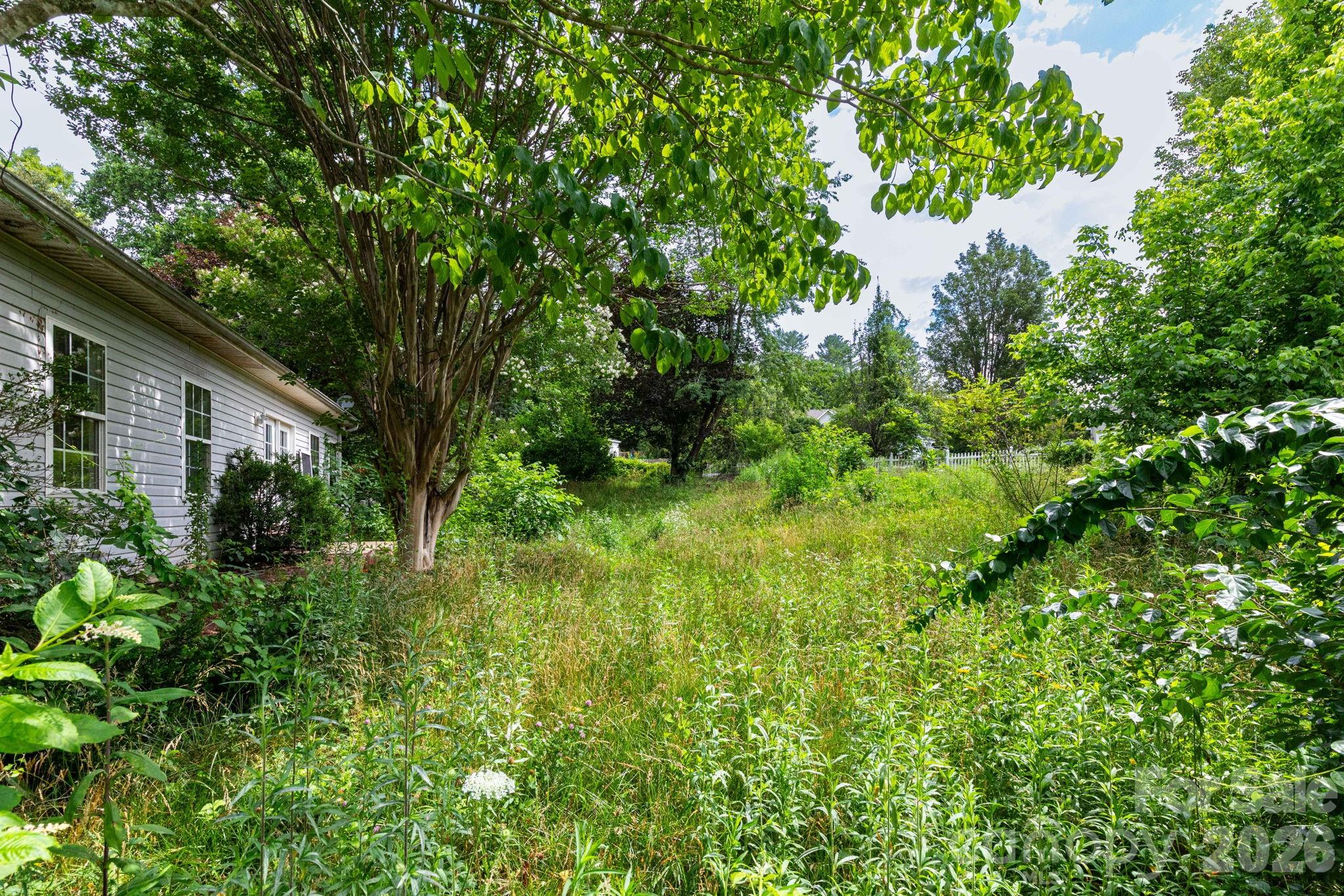 5 Carter View Lane Arden, NC 28704 - Photo 23 of 24