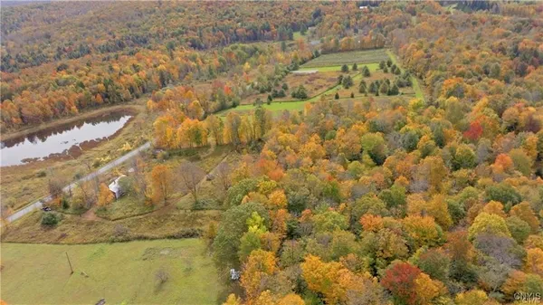 $75,000 | 249 Peraglie Road, Jefferson, NY 12093