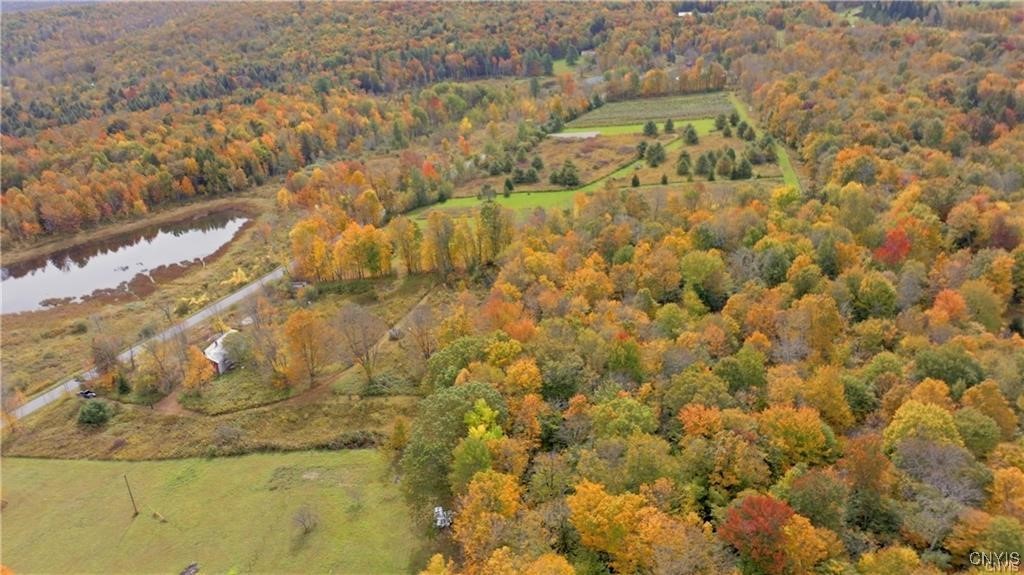 249 Peraglie Road Jefferson, NY 12093 - Photo 7 of 7