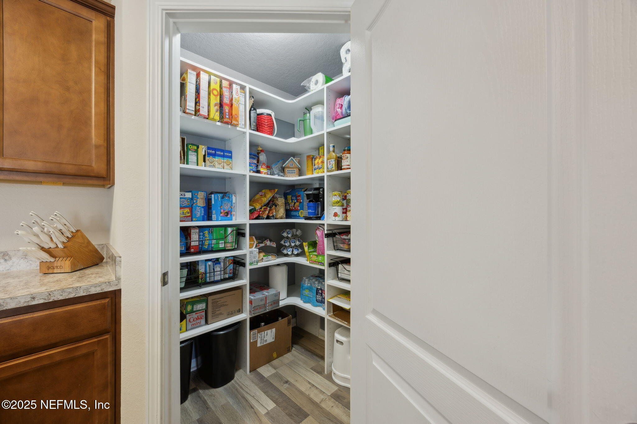 3356 Canyon Falls Drive Green Cove Springs, FL 32043 - Photo 15 of 66 a room with storage and utility