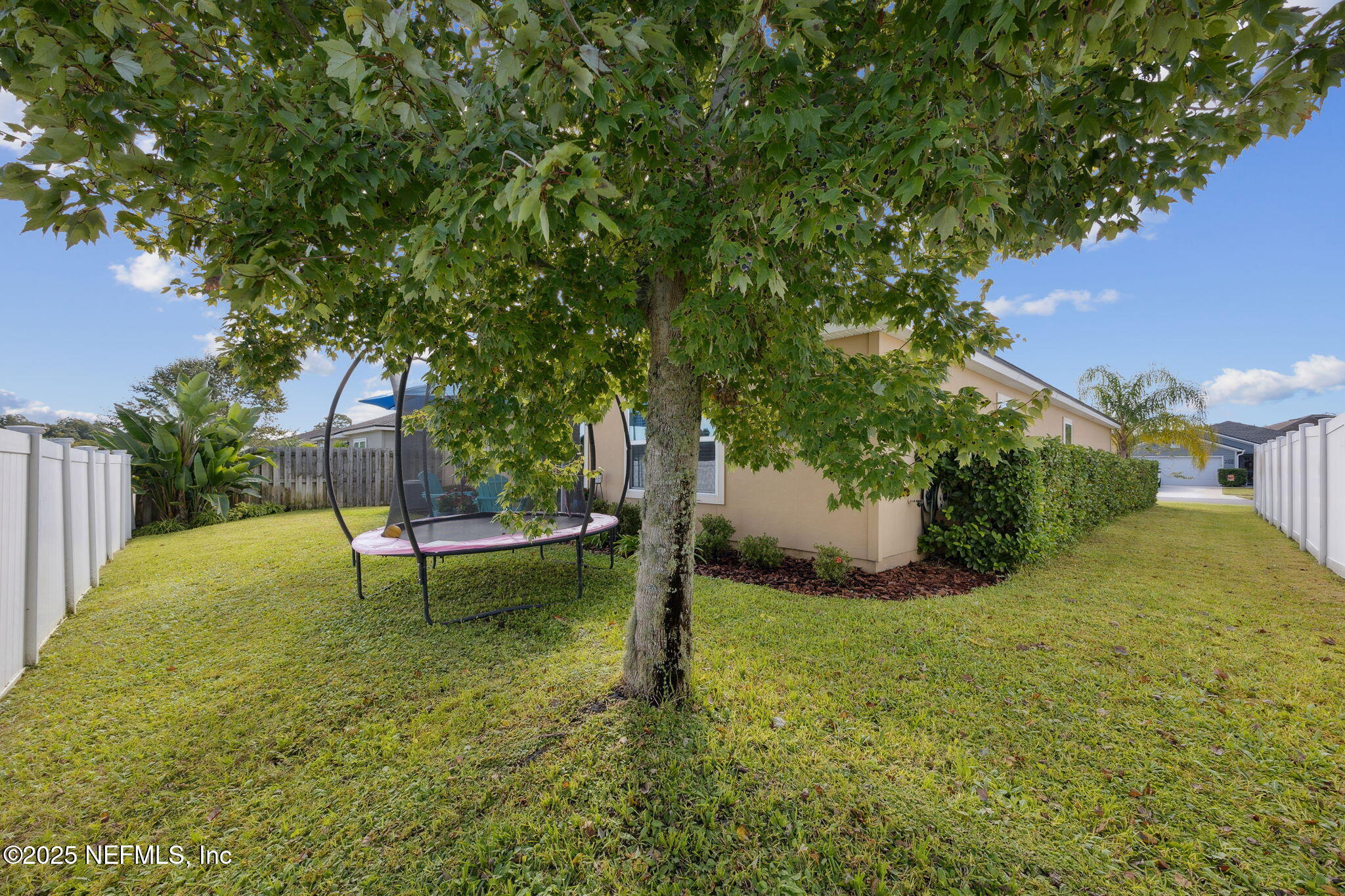 3356 Canyon Falls Drive Green Cove Springs, FL 32043 - Photo 33 of 66 a view of a backyard with table and chairs