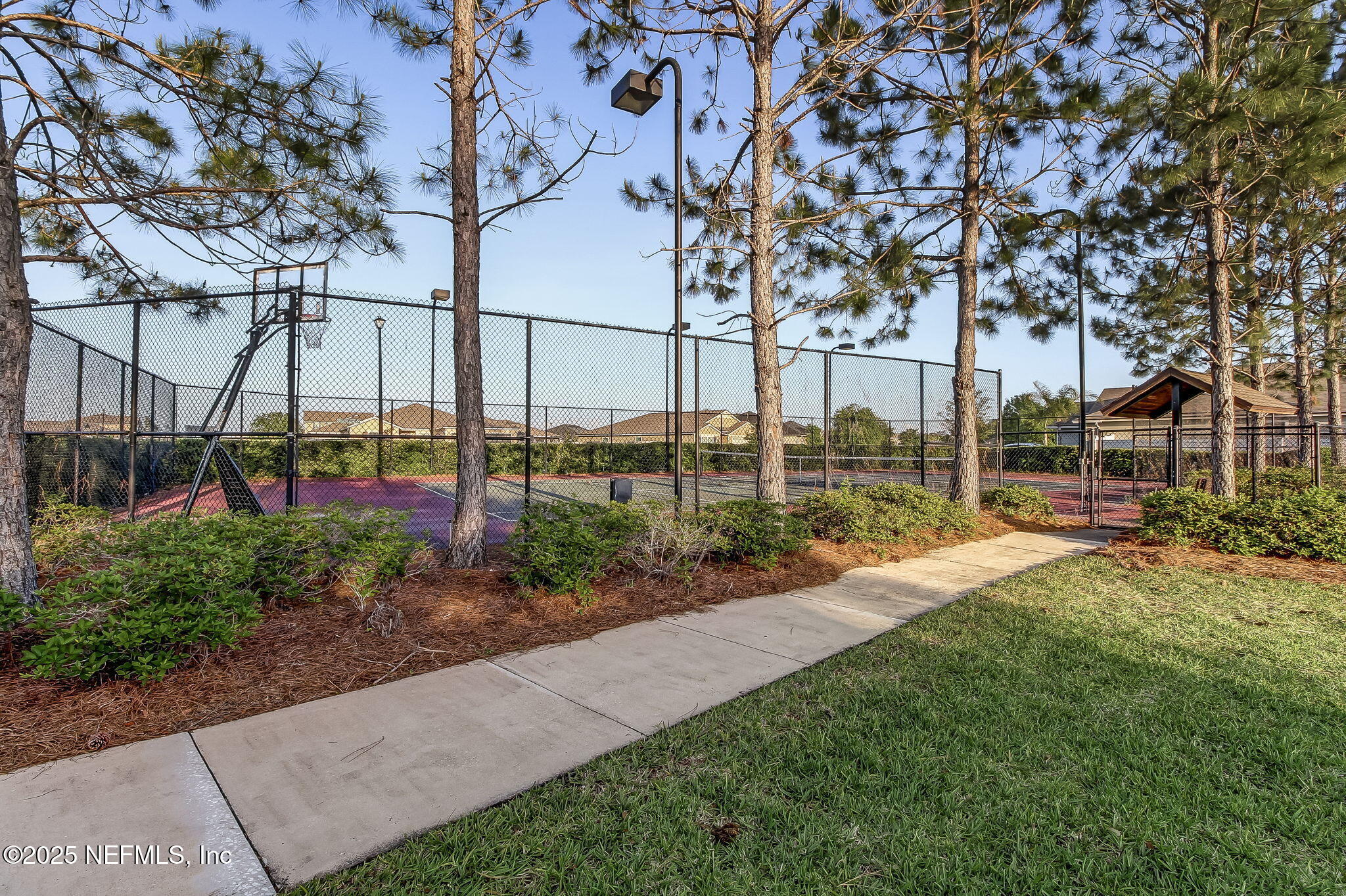 3356 Canyon Falls Drive Green Cove Springs, FL 32043 - Photo 51 of 66 a view of a garden with a building in the background