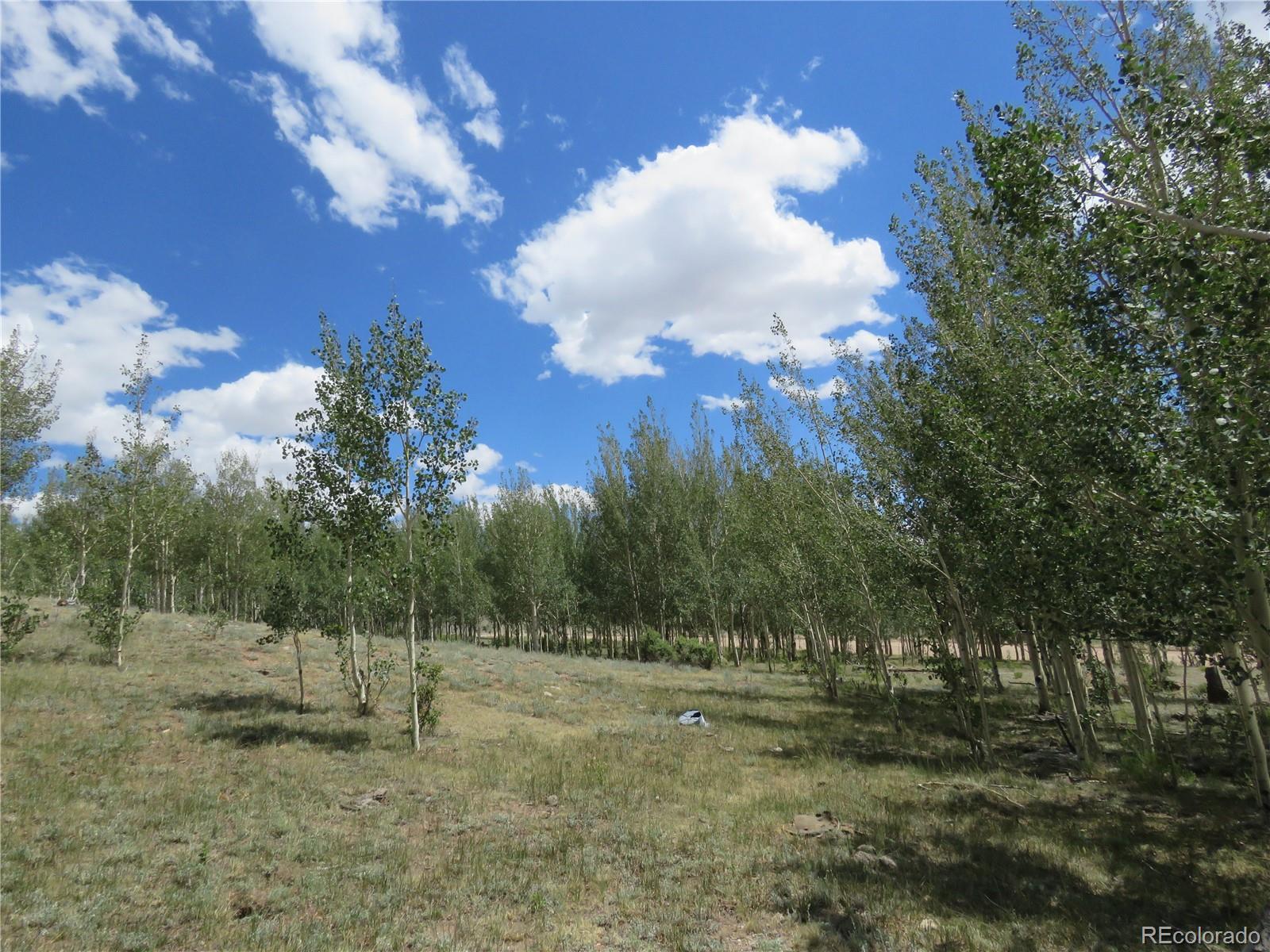 104 Hawk Way Como, CO 80432 - Photo 10 of 19 a view of a big yard