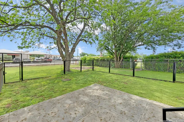 a view of a park with large trees