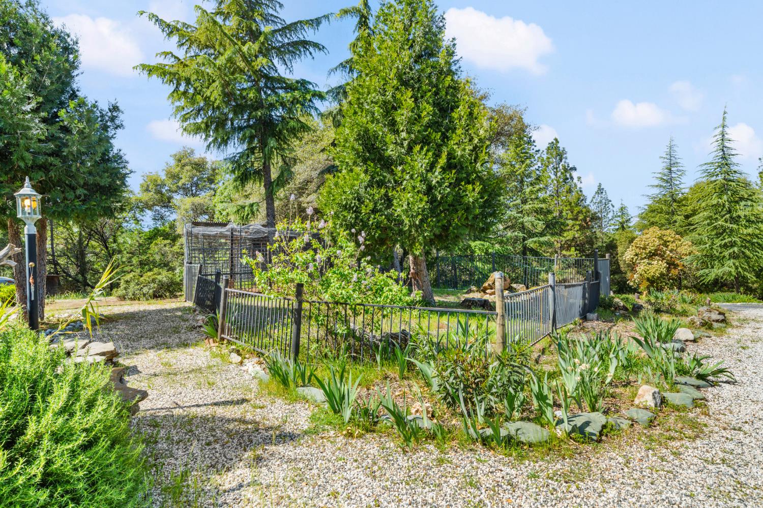 24717 Rodeo Flat Road Auburn, CA 95602 - Photo 70 of 84