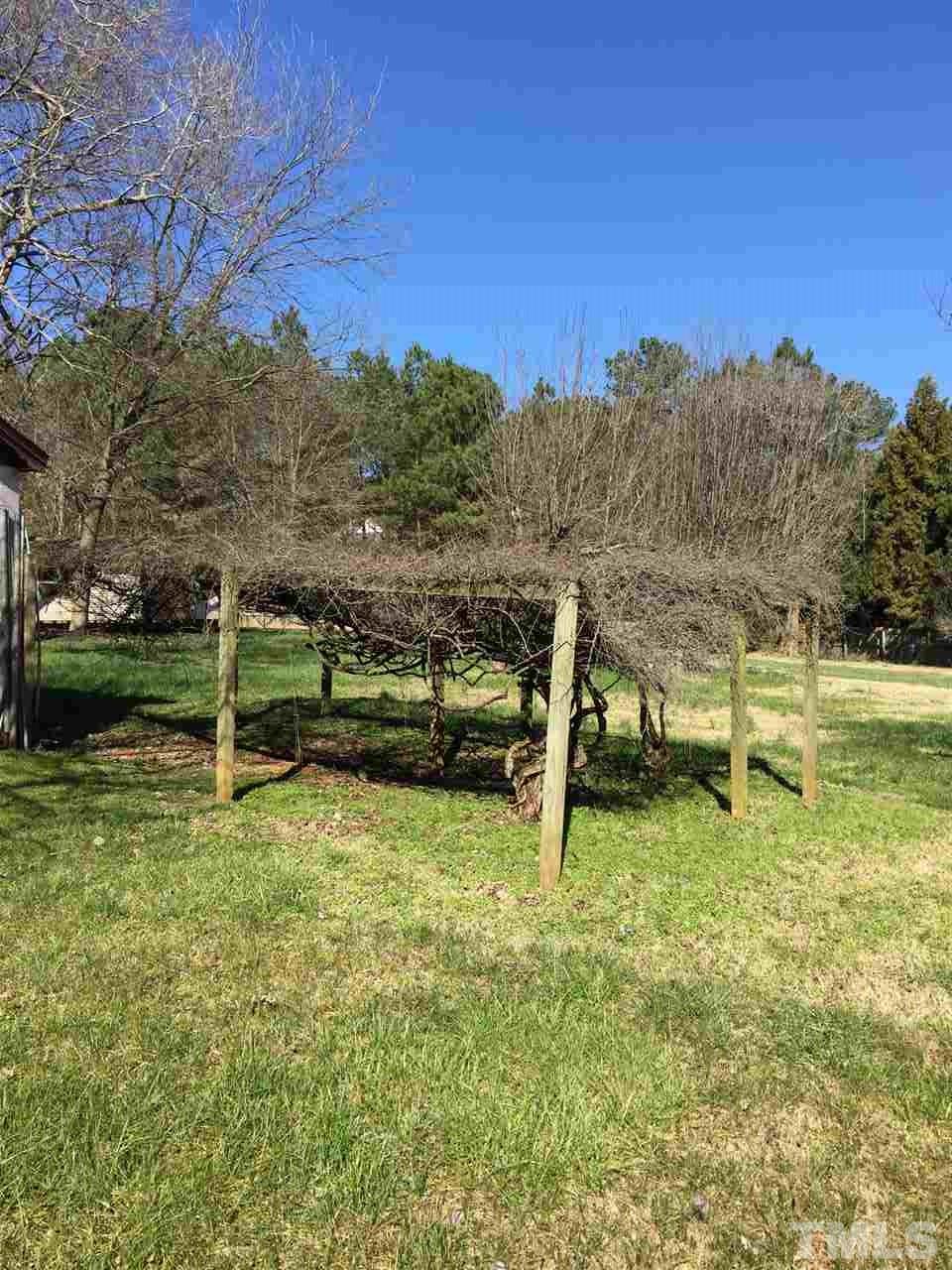 9804 Ray Road Raleigh, NC 27613 - Photo 5 of 8 a view of a yard with a slide