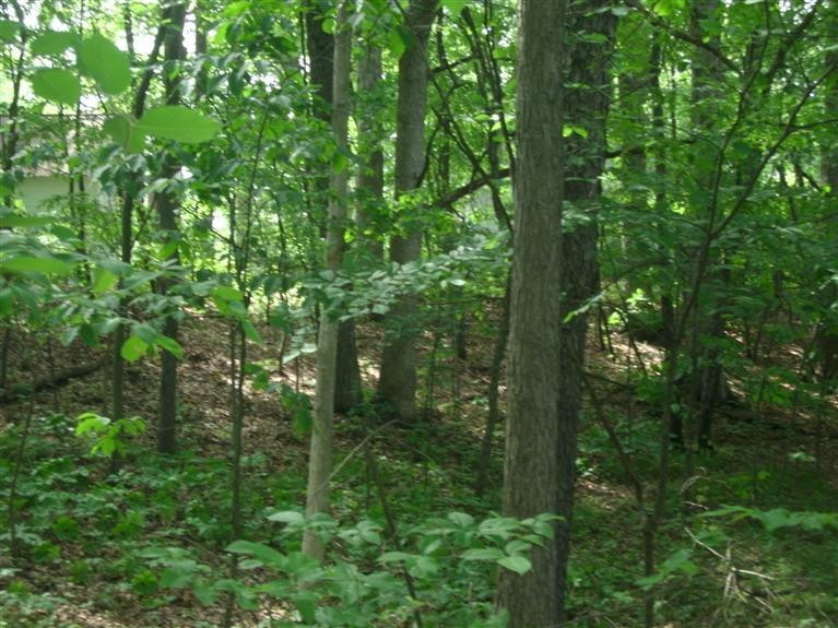 3889 Valentine Road Whitmore Lake, MI 48189 - Photo 24 of 34 Photo 24