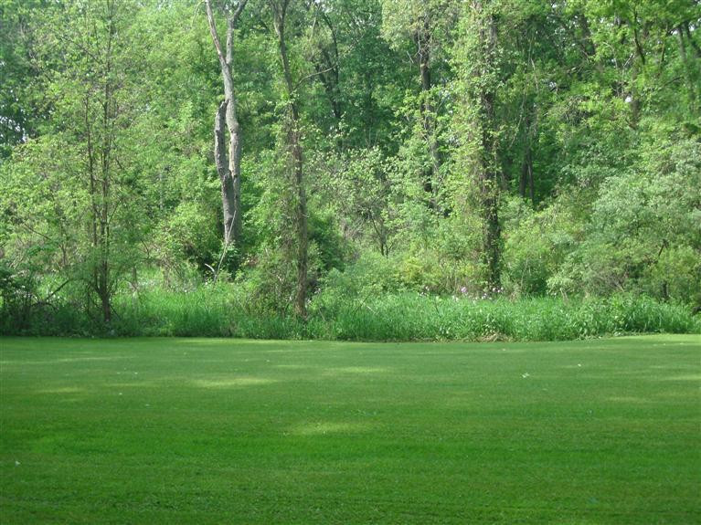 3889 Valentine Road Whitmore Lake, MI 48189 - Photo 25 of 34 Photo 25