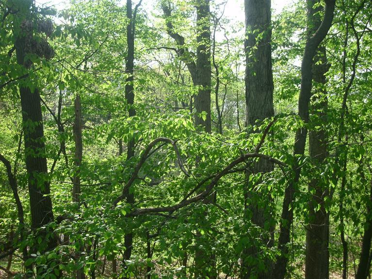3889 Valentine Road Whitmore Lake, MI 48189 - Photo 28 of 34 Photo 28