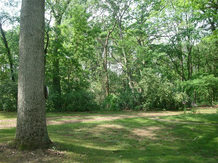 3889 Valentine Road Whitmore Lake, MI 48189 - Photo 29 of 34 Photo 29