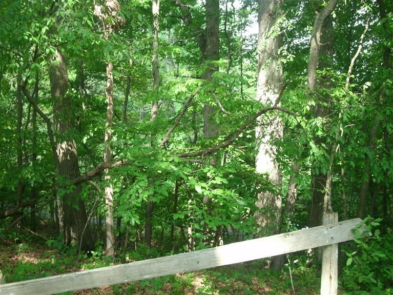 3889 Valentine Road Whitmore Lake, MI 48189 - Photo 30 of 34 Photo 30