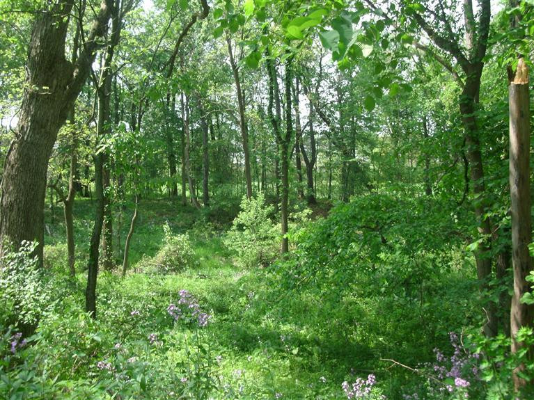 3889 Valentine Road Whitmore Lake, MI 48189 - Photo 32 of 34 Photo 32