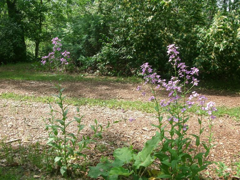3889 Valentine Road Whitmore Lake, MI 48189 - Photo 34 of 34 Photo 35