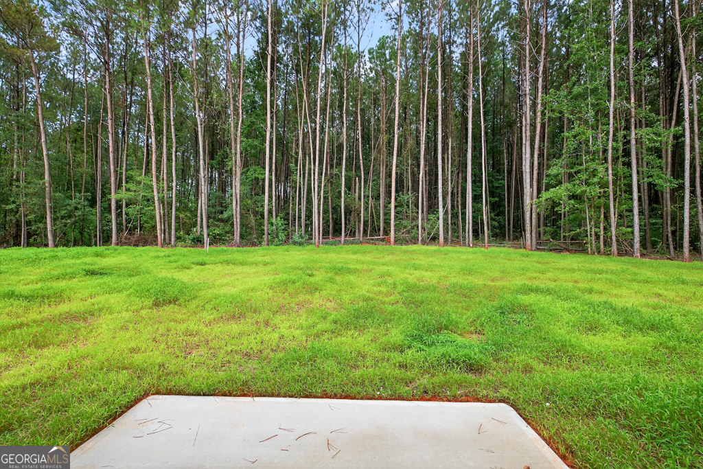 474 Oil Mill Road, Unit 11 Martin, GA 30557 - Photo 29 of 30 a view of a garden with trees